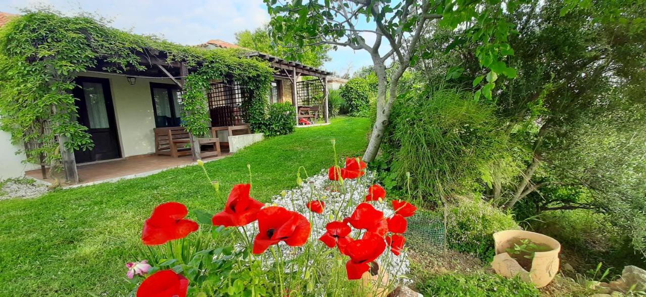 Apartment The Gallipoli