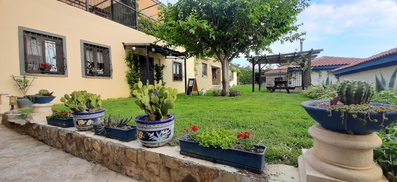 The Gallipoli Apartment *